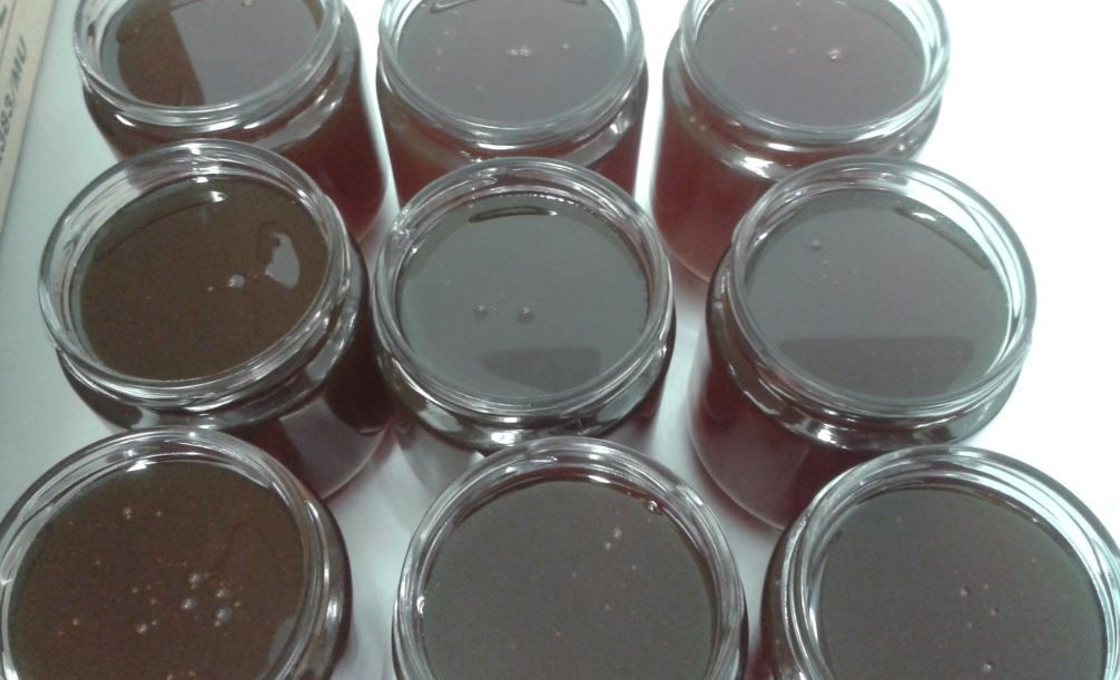 Miel ecológica de encina Fabus