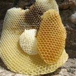 Tipos de cera de origen natural